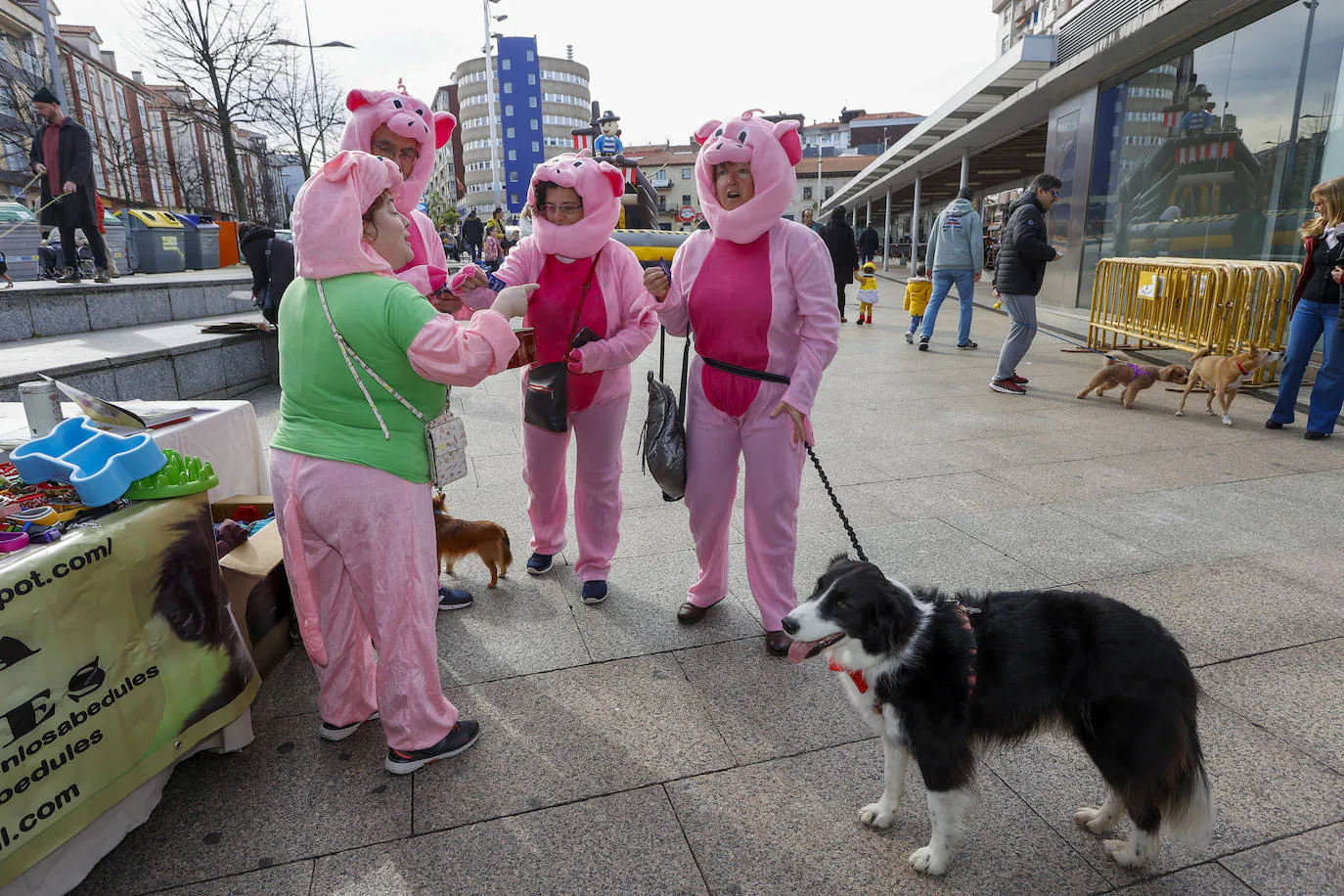 Los perros se unen al Carnaval y desfilan en Torrelavega